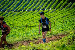 BIB: 2015, 
                            <button type="button" onclick="openModal(19161466)" class="btn btn-primary btn-sm float-right btn-popup" data-toggle="modal" data-target=".modal-high-quality">
                        <i class="fas fa-shopping-cart"></i> Add to Cart
                    </button>
                                            <button type="button" onclick="isThisMe(19161466, true)" class="btn btn-success btn-sm float-right btn-popup btn-isme hidden" data-toggle="tooltip" data-placement="bottom" title="นี่คือรูปของคุณใช่ไหม คลิกที่นี่เพื่อเอาเข้าอัลบั้ม">
                        <i class="fas fa-plus"></i> Add to album
                    </button>
                    <button type="button" onclick="isThisMe(19161466, false)" class="btn btn-warning btn-sm float-right btn-popup btn-isnotme hidden">
                        <i class="fas fa-ban"></i> Remove from album
                    </button>